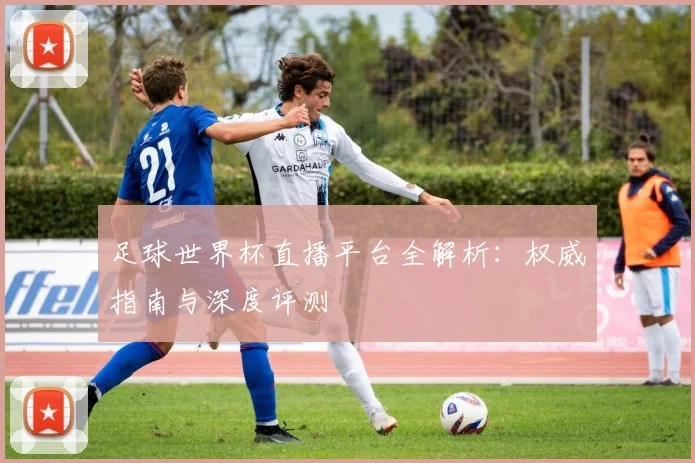 足球世界杯直播平台全解析:权威指南与深度评测
