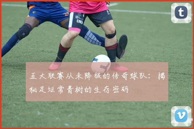 五大联赛从未降级的传奇球队:揭秘足坛常青树的生存密码